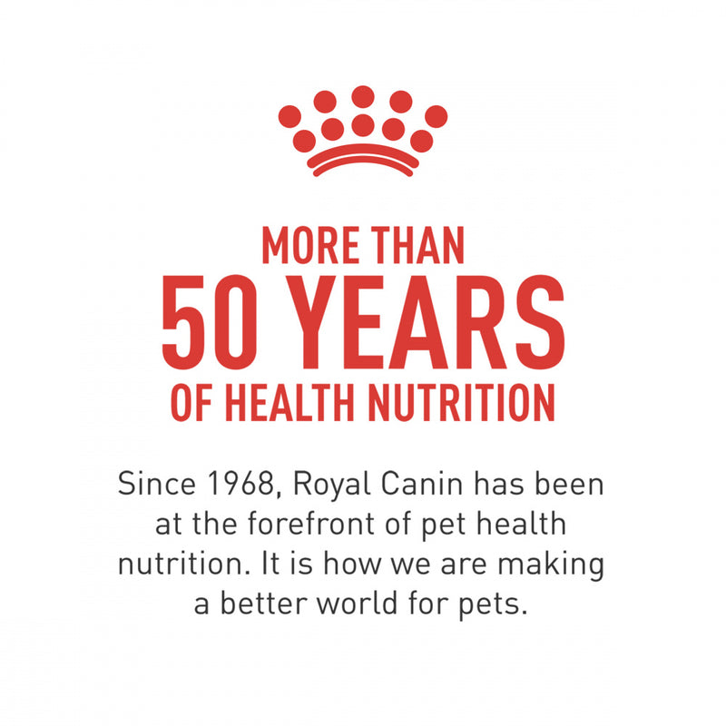 Royal Canin Breed Health Nutrition Dachshund Adult Dry Dog Food