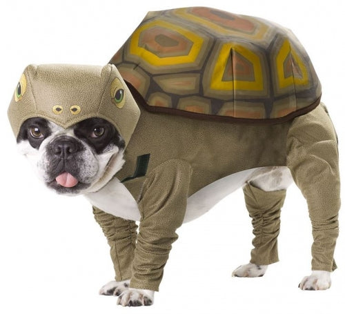 Animal Planet Tortoise Dog Costume