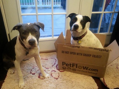 Dog Gone Smart Dirty Dog Medium Doormats