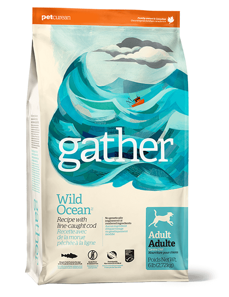 Petcurean Gather Grain Free Wild Ocean Line-Caught Cod Recipe Adult Dry Dog Food