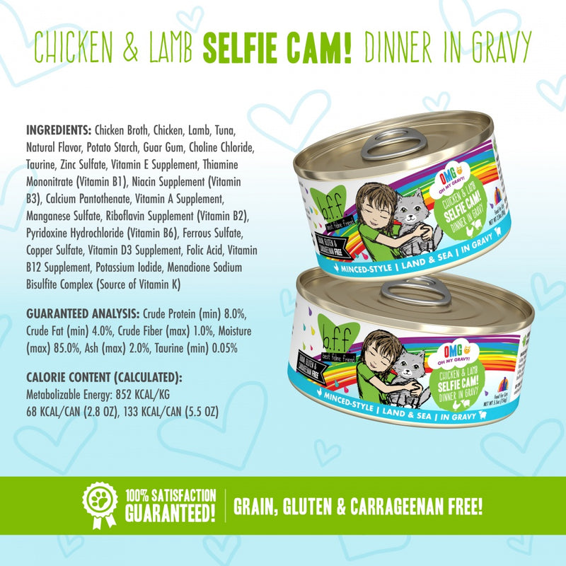 Weruva BFF Oh My Gravy Selfie Cam Grain Free Chicken & Lamb in Gravy Canned Cat Food