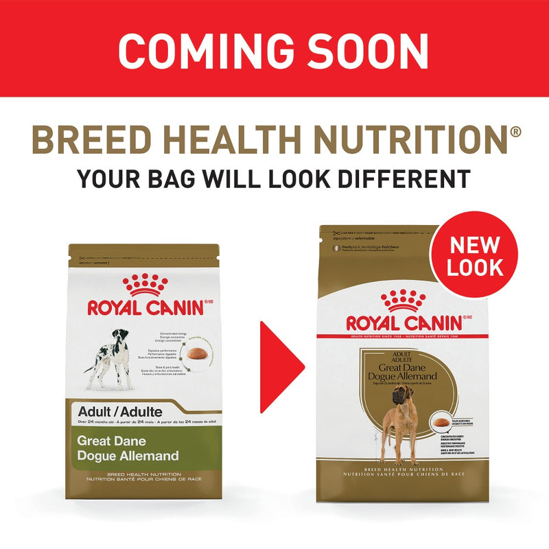 Royal Canin Breed Health Nutrition Adult Great Dane Dry Dog Food