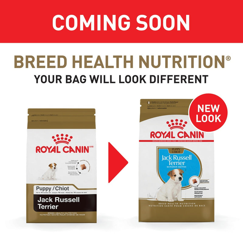 Royal Canin Jack Russell Terrier Puppy Recipe Dry Dog Food