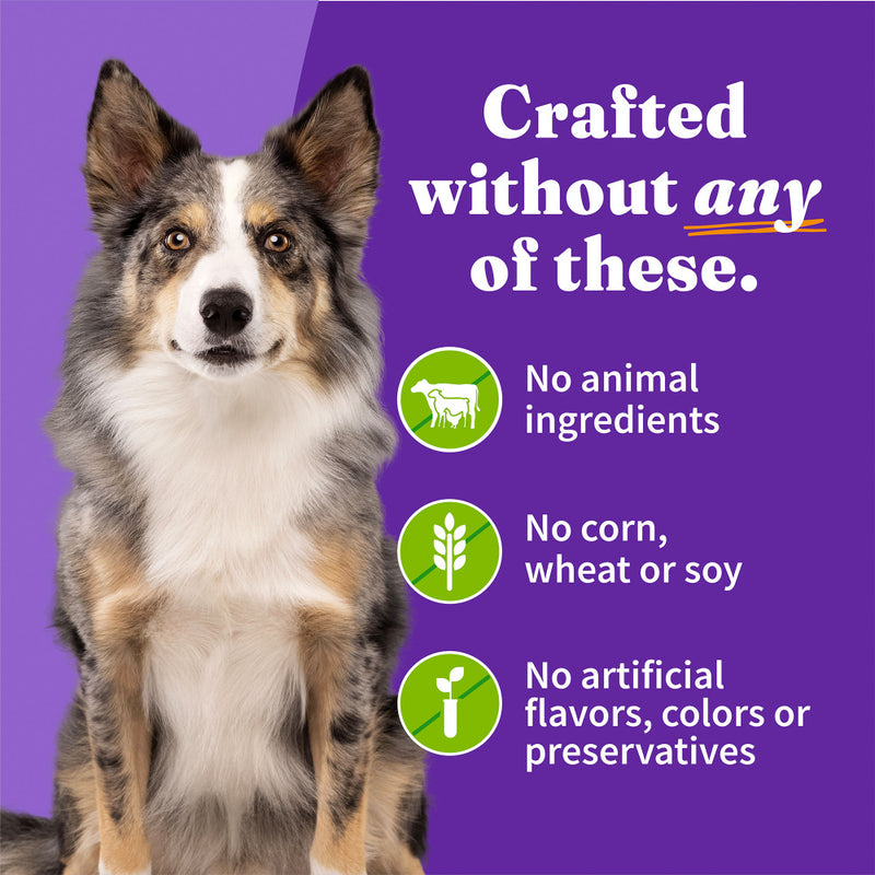 Halo Holistic Garden of Vegan Recipe Canned Dog Food