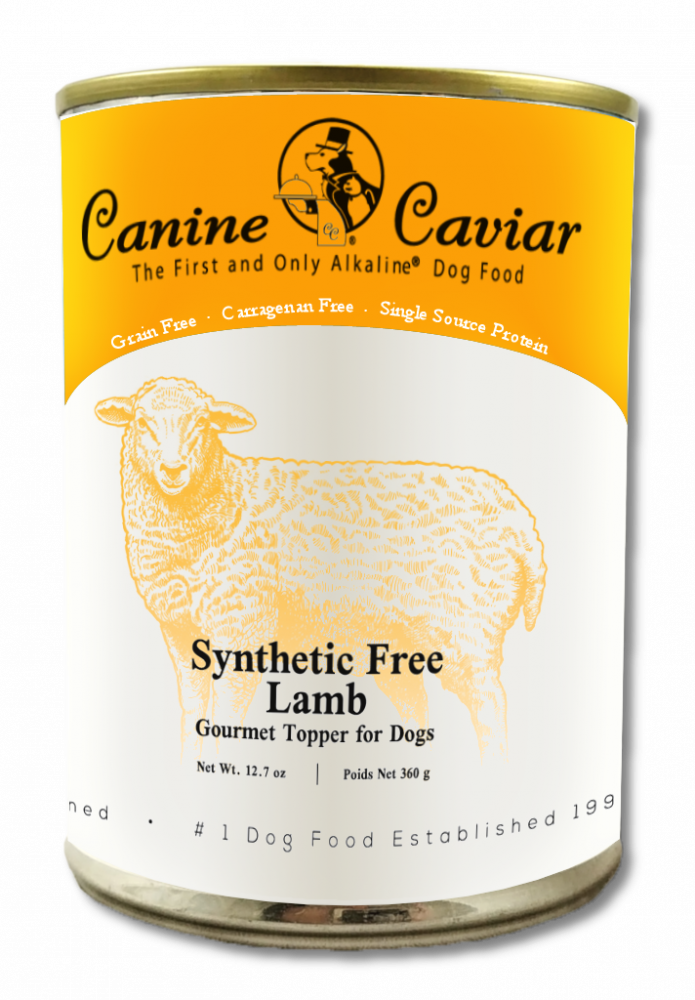 Canine Caviar Grain Free Synthetic Free Lamb Recipe Canned Dog Food