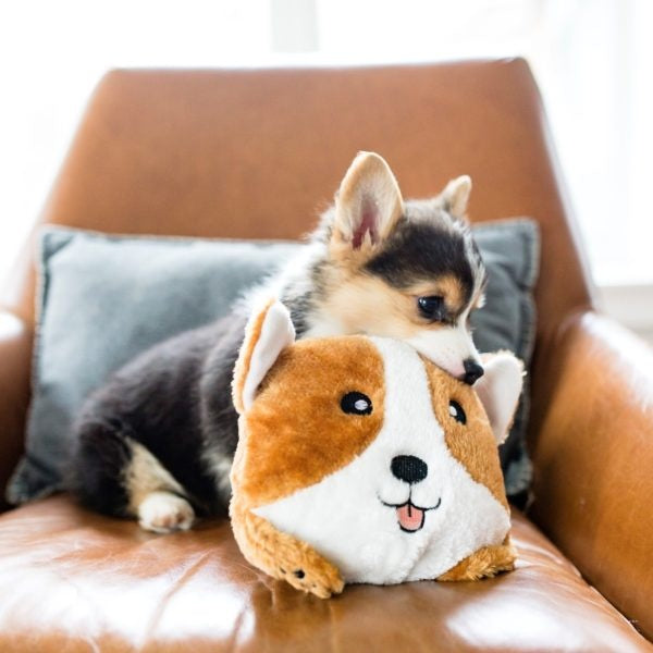 ZippyPaws Squeakie Buns Corgi Plush Dog Toy