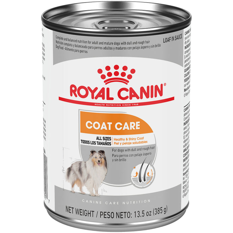 Royal Canin Coat Care Loaf in Sauce Canned Dog Food