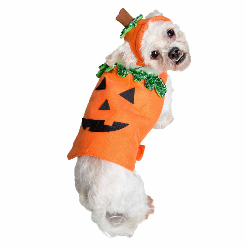 Pet Krewe Pumpkin Dog and Cat Costume